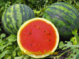 Anguria Blue Bell