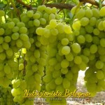 Uva Vittoria - Nutrizionista Bologna Serena Tassinari