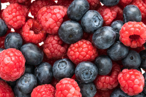 Nutrizionista Bologna frutti di bosco
