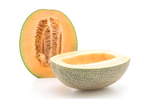 nutrizionista bologna melone