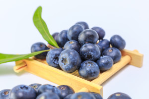 nutrizionista bologna mirtilli