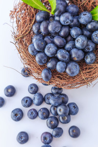 nutrizionista bologna mirtilli